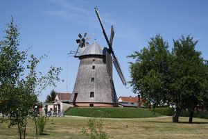 2011-06-04 Hähnchen, Straupitz, Klinge 018