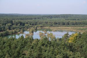 IMG_9208
